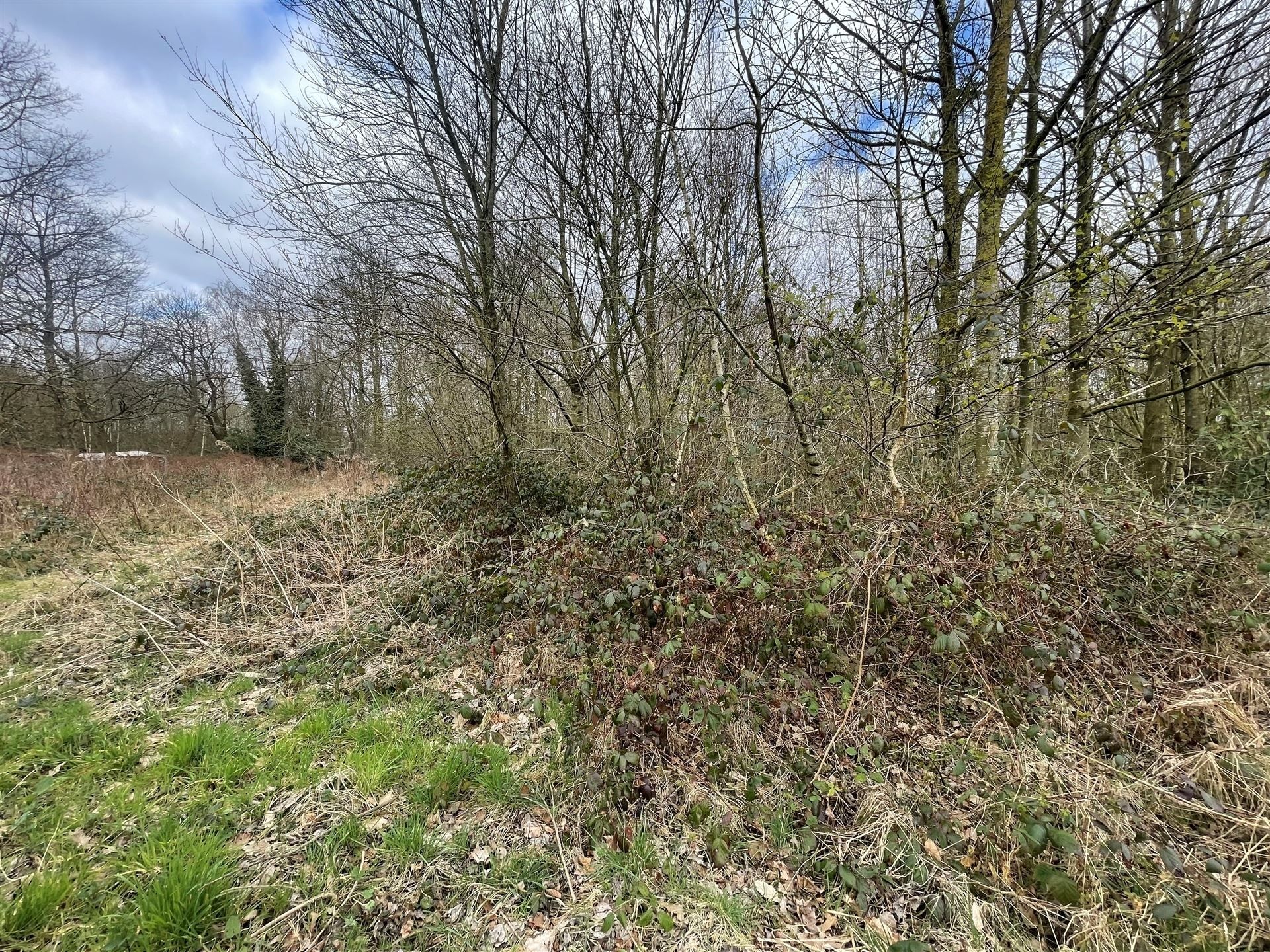 Weiland / Bouwland foto 10