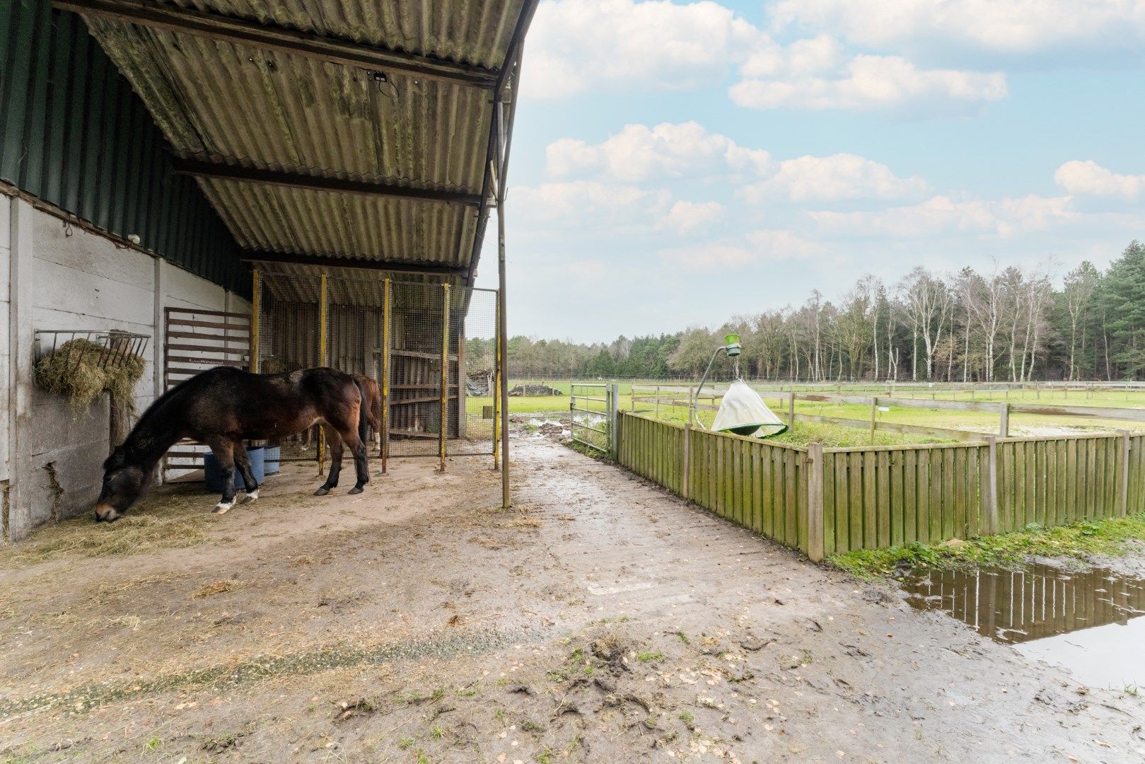 Ruime gezinswoning met 4 slaapkamers op 42,5 are te koop! foto 12