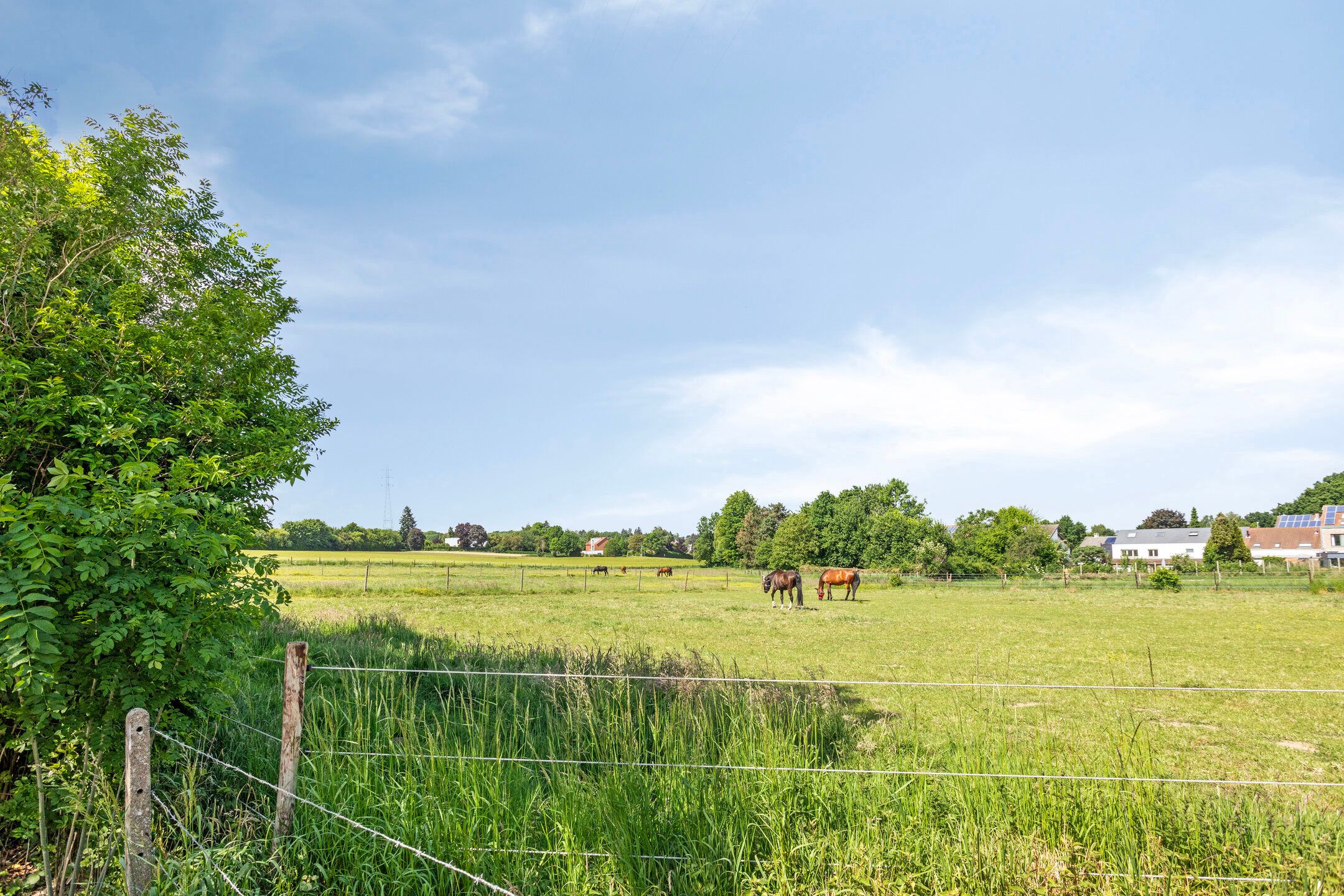 Energiezuinige landelijke woning te Kessel-Lo foto 16