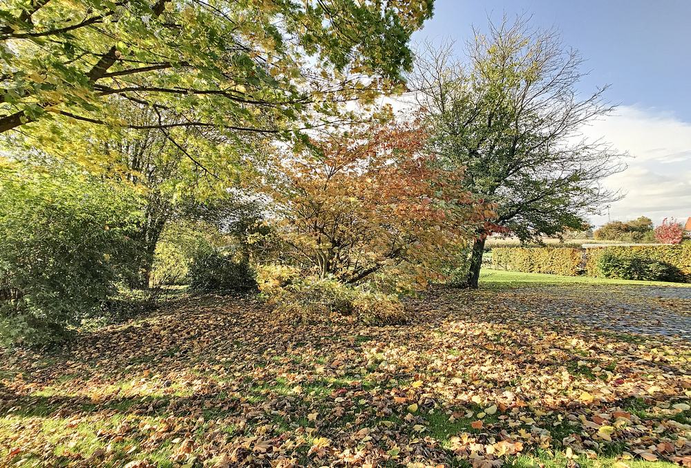Villa te huur foto 28