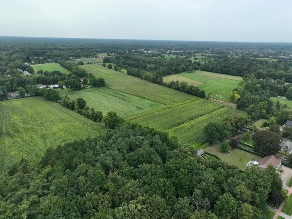 5 hectare landbouwgrond te Zoersel (Sint-Antonius) foto 4