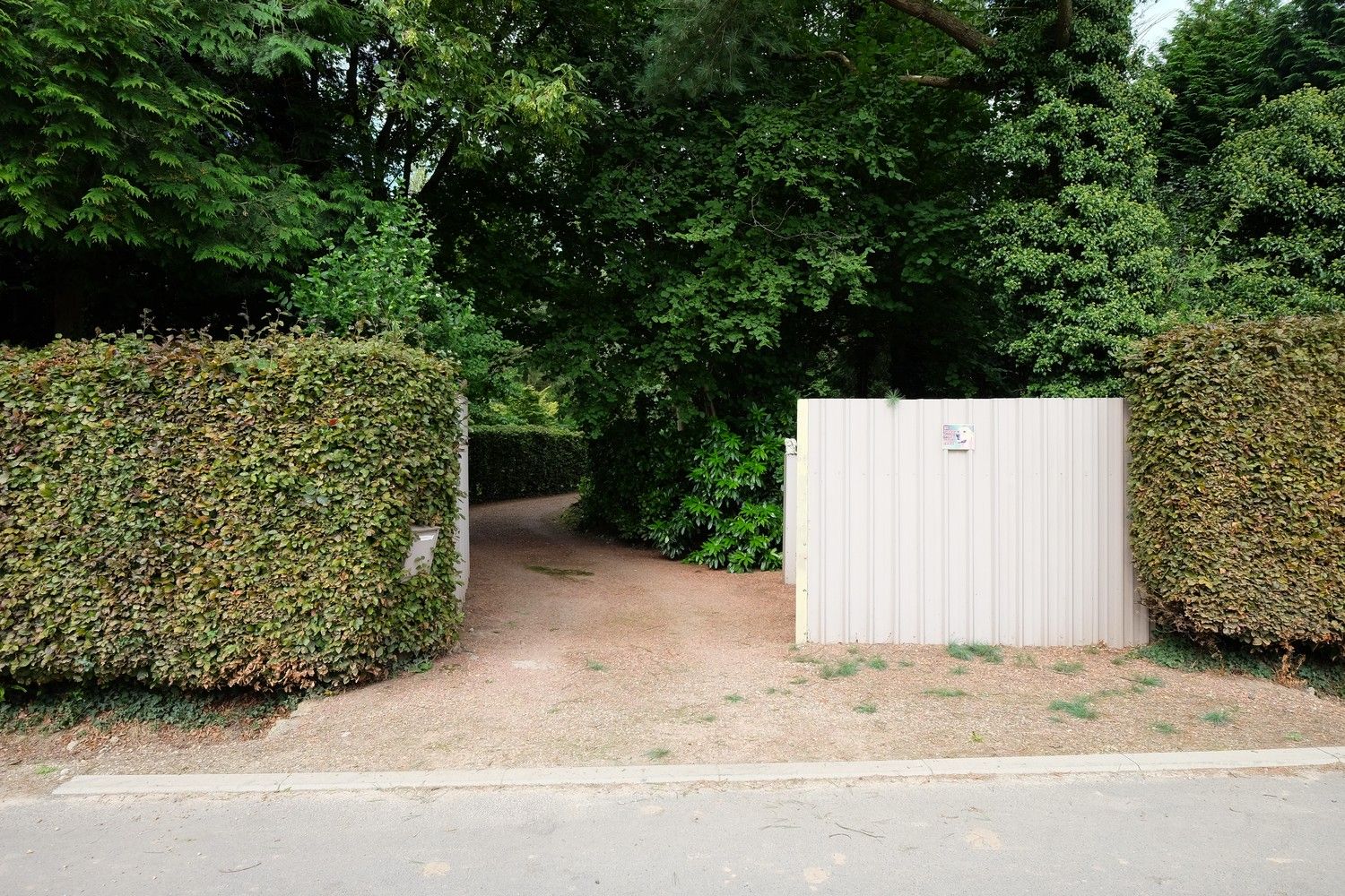 Uniek perceel met een charmante vakantiewoning midden in de natuur omgeven door een uitzonderlijke collectie van prachtige bomen. foto 2