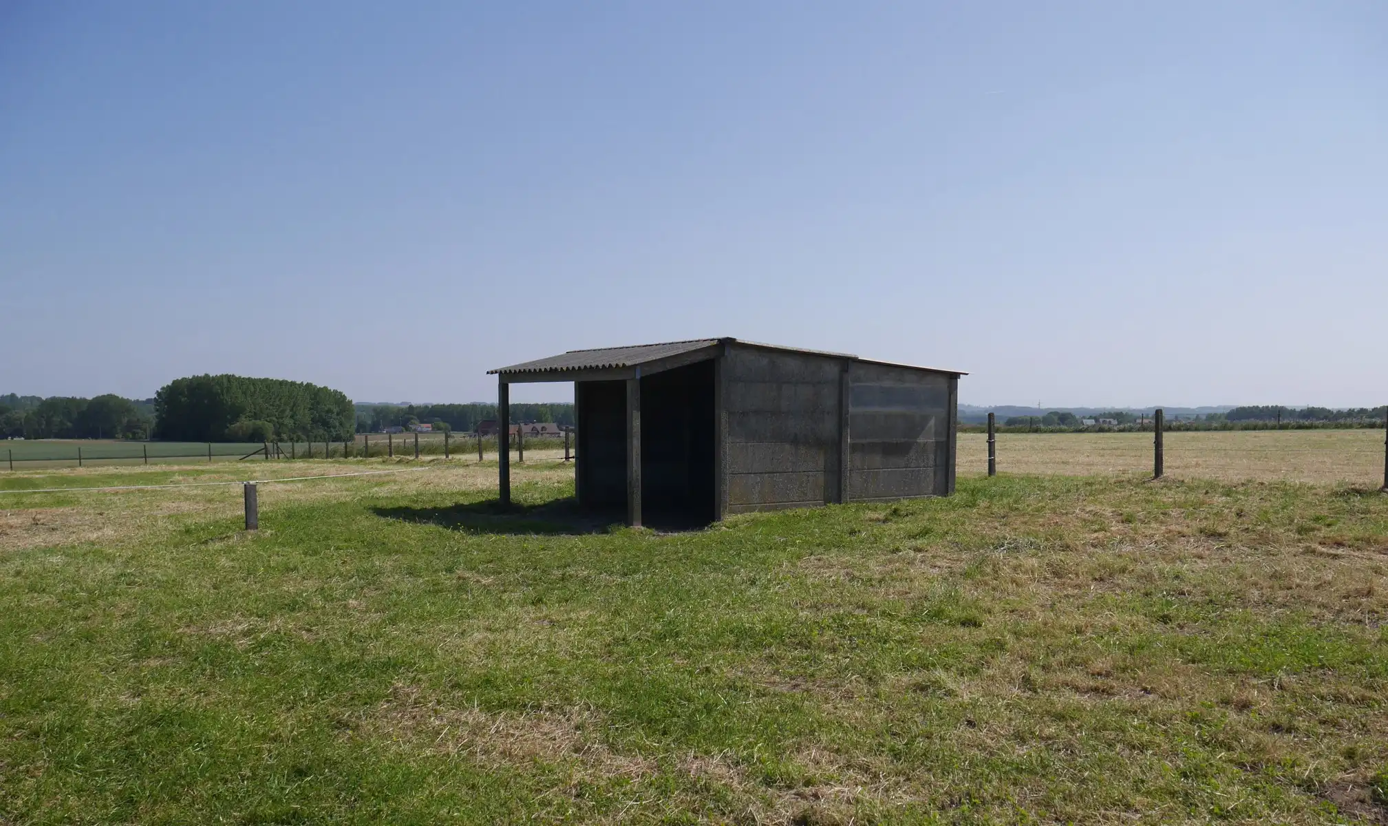 Zeer vlot bereikbare weide foto 12