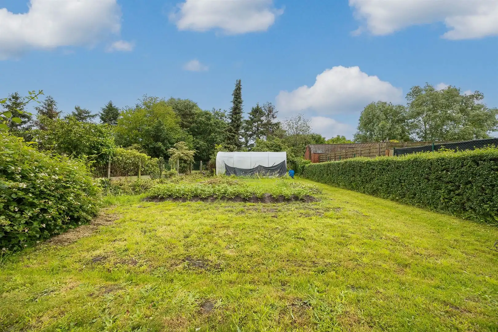 Toffe woning met veel potentieel! foto 16