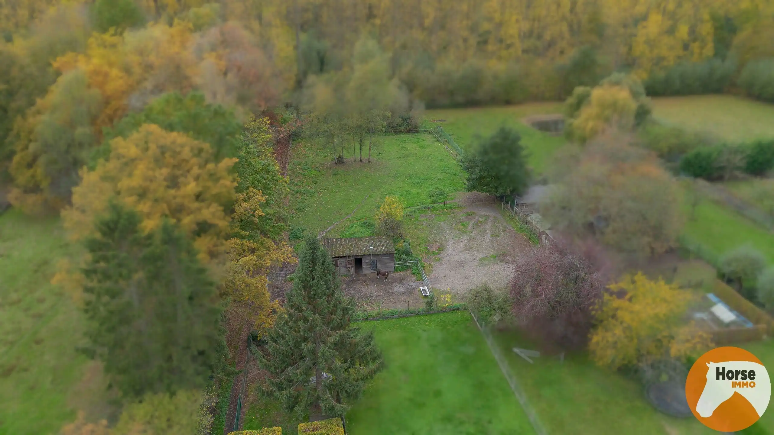 EREMBODEGEM- Ruime gezinswoning met tuin en weide  foto 40