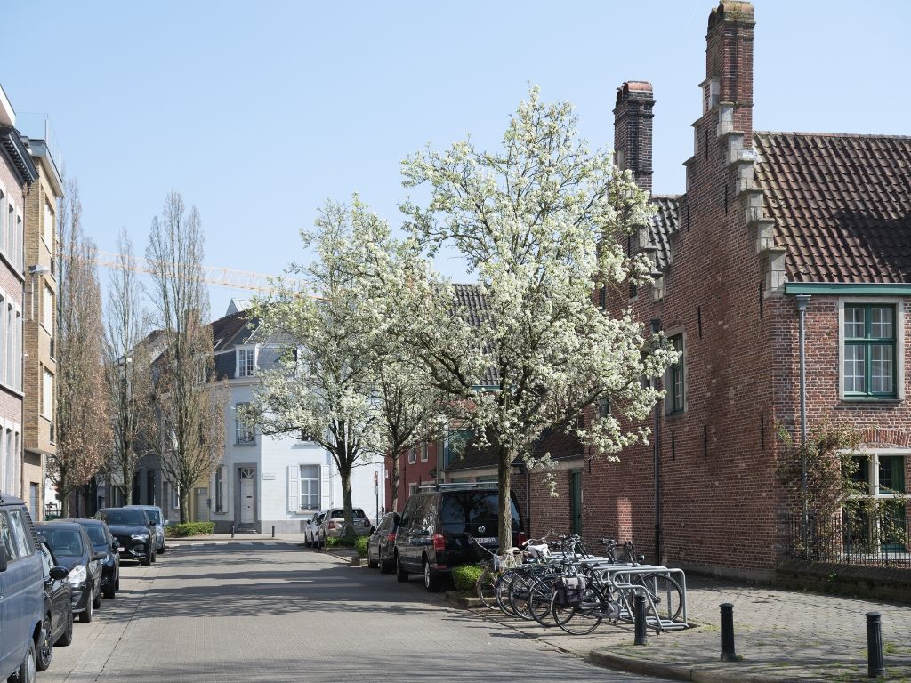 Omgeving Sint-Elisabethbegijnhof - Op te frissen éénslaapkamerappartement met aangename buitenruimte. foto 9
