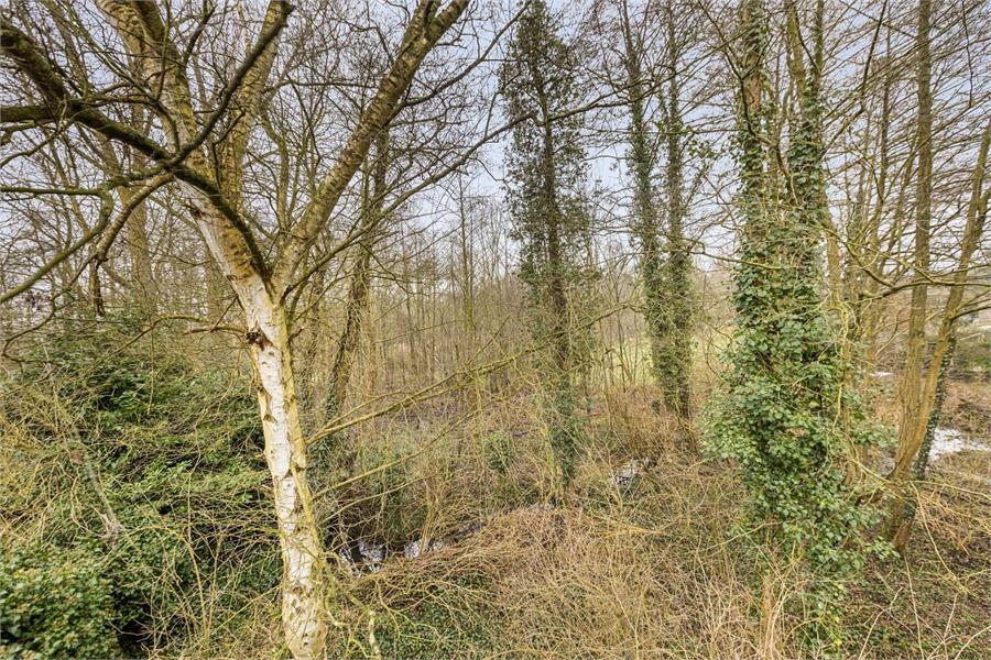 Bouwgrond te koop in Tessenderlo-Ham op perceel van 16a 76ca foto 9
