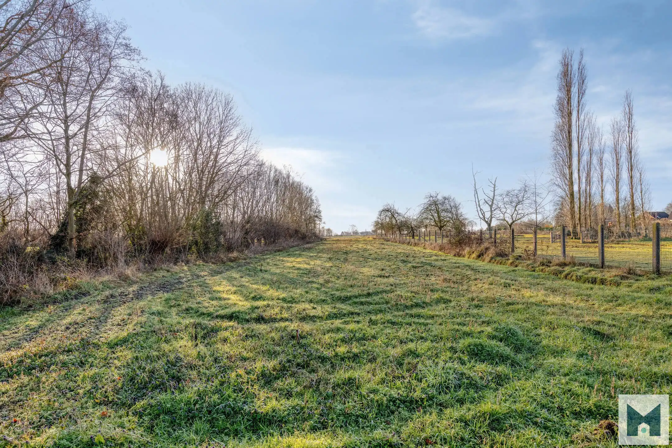 Unieke woonst met bijgebouwen op 3933 m² te Malderen! foto 5