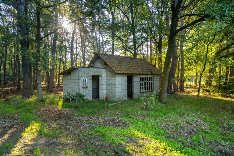 Uniek gelegen renovatieproject op 1,8 ha foto 24