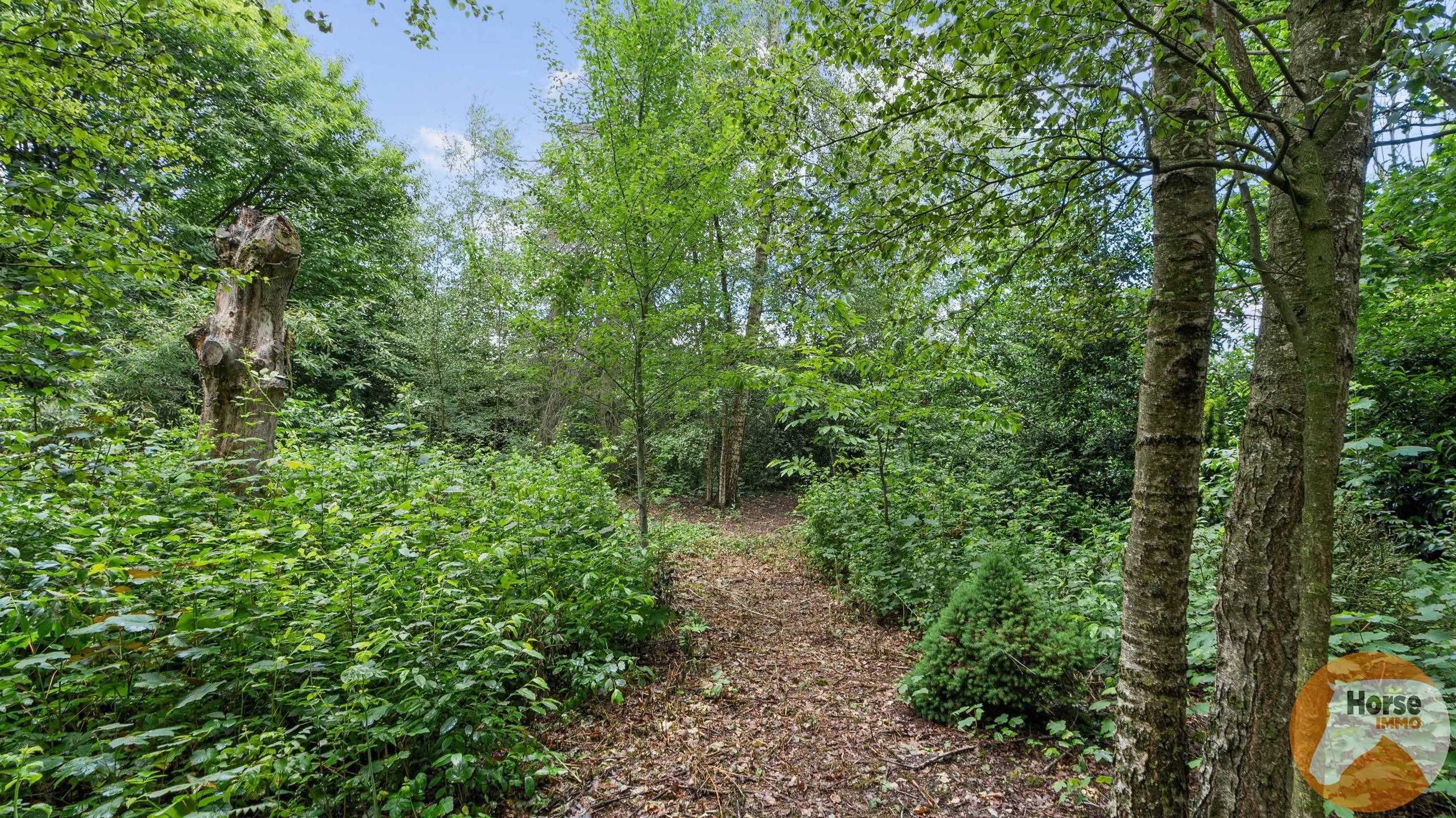 EKSAARDE - Te renoveren woning met oppervlakte bijna 4000m² foto 5