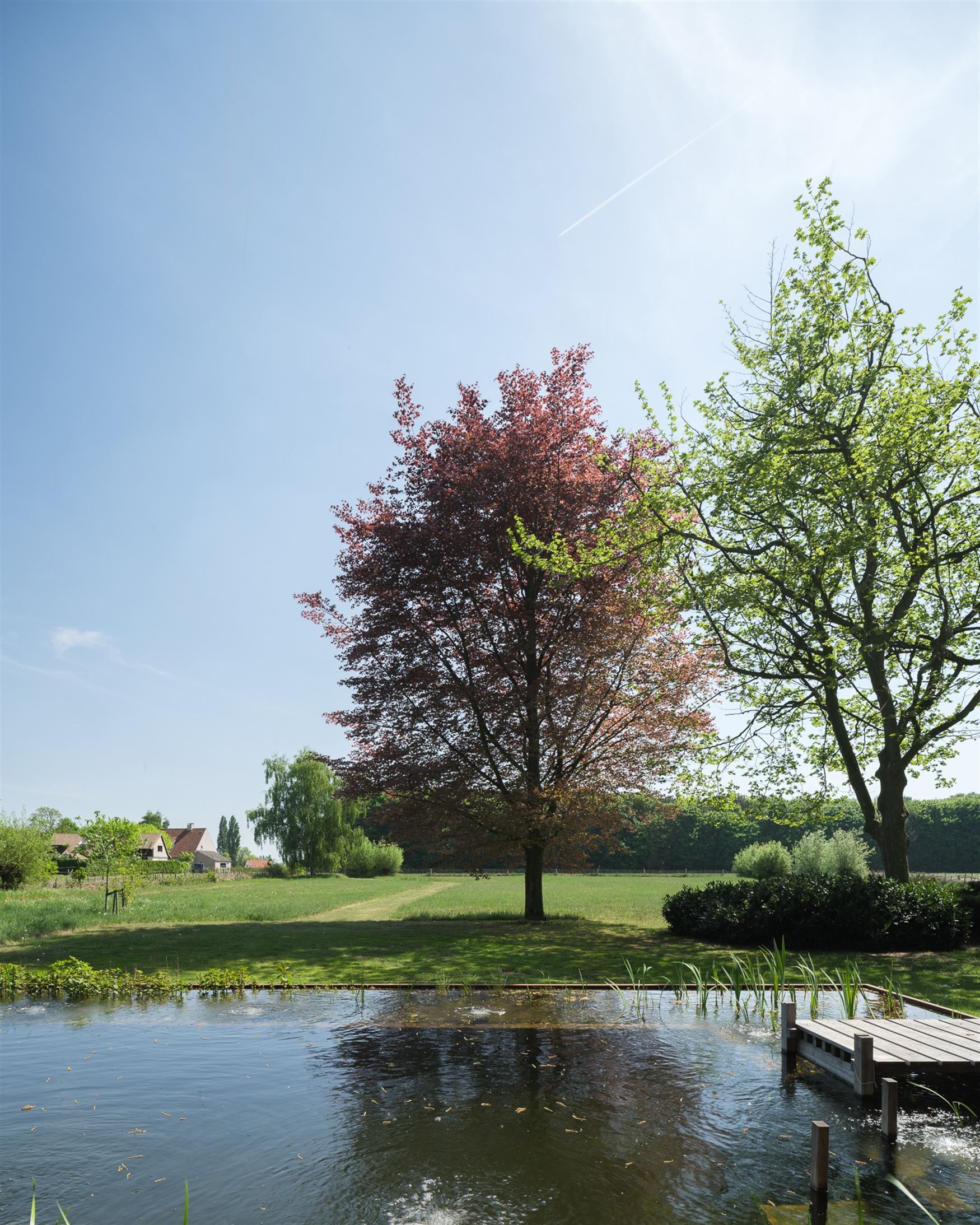 Magnifiek gerenoveerde hoeve foto 2