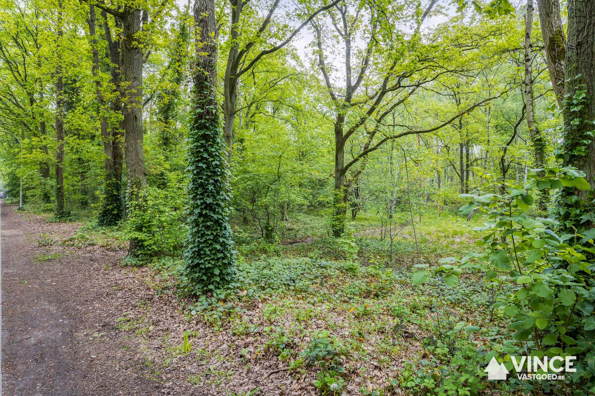 Bouwgrond in groene omgeving foto 3