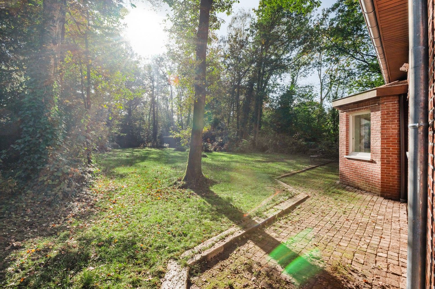 Charmant Landhuis met veel potentieel in groene omgeving te Schotenhof. foto 4