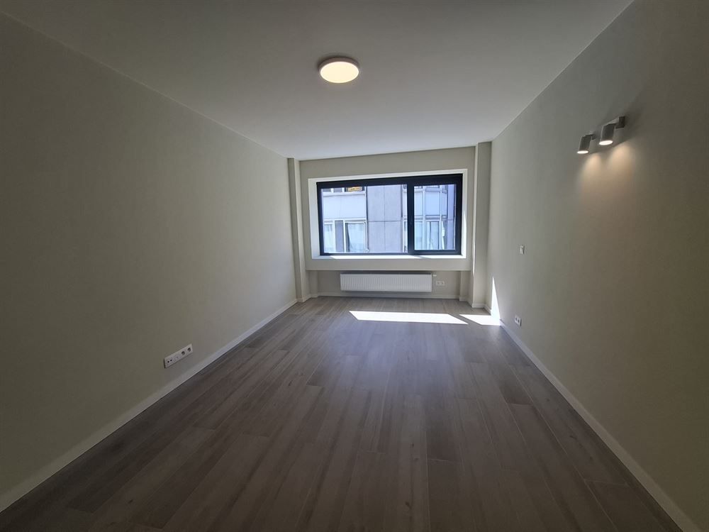 Gerenoveerd appartement | Antwerpen-Centrum foto 9