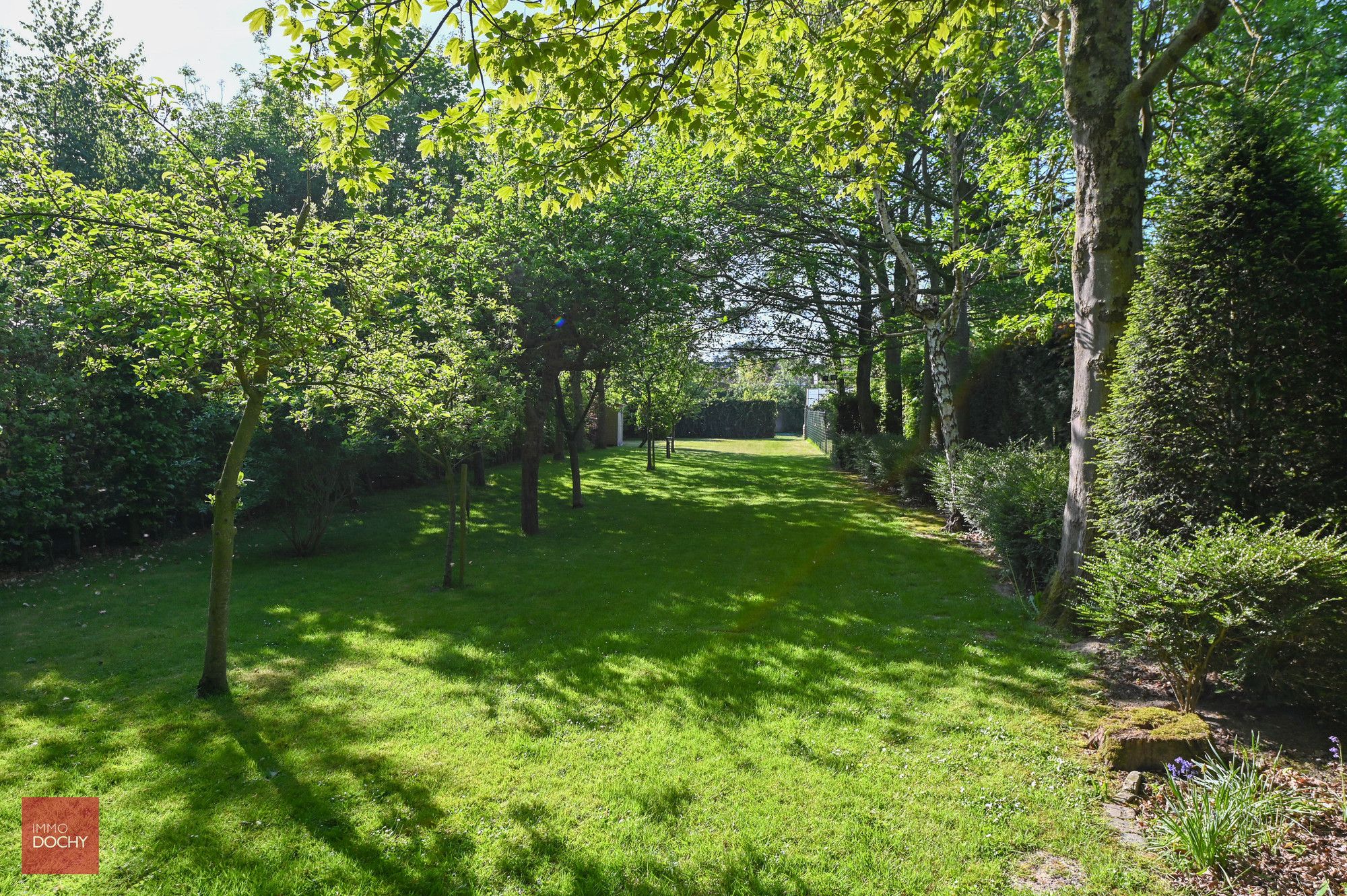 Ruime villa met prachtige tuin foto 5