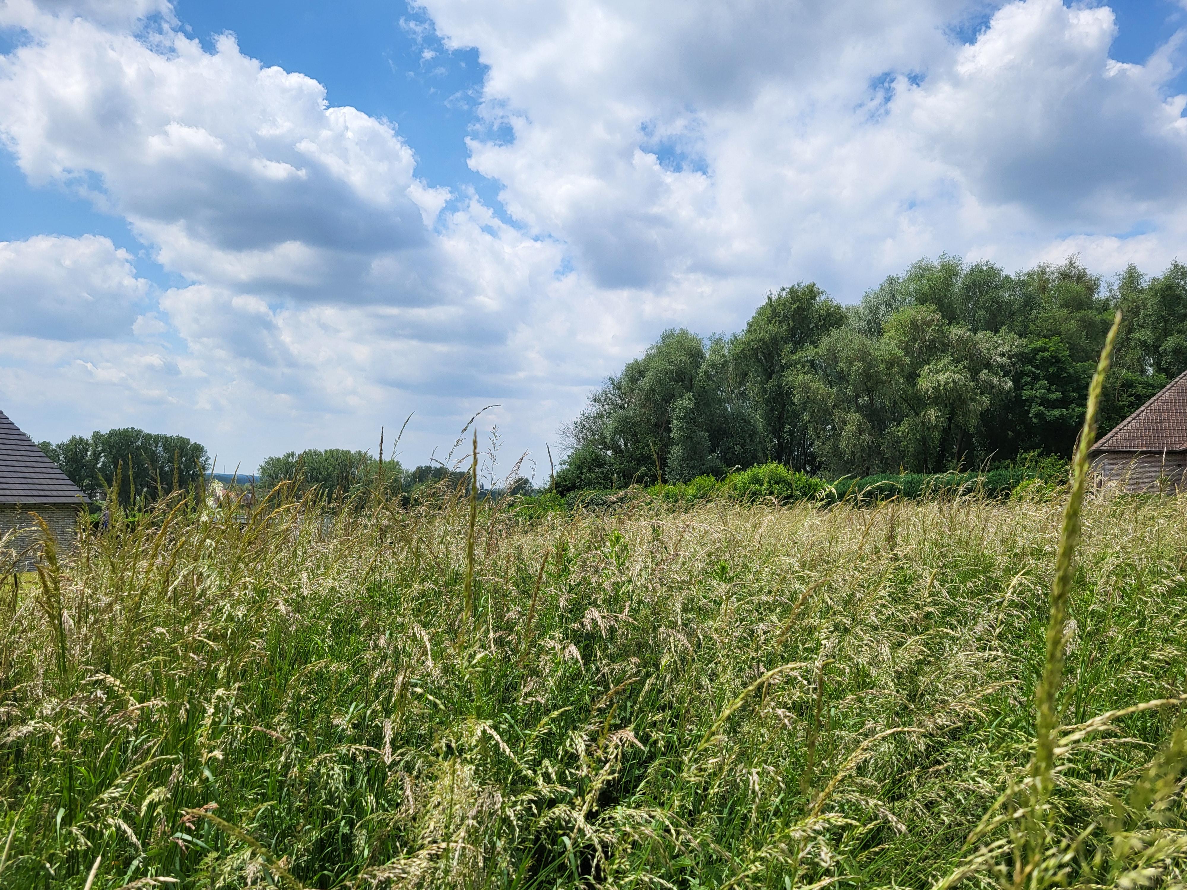 Prachtig gelegen bouwgrond voor open bebouwing op 923m² in het hartje van de Vlaamse Ardennen met panoramisch uitzicht op de velden.  foto 1