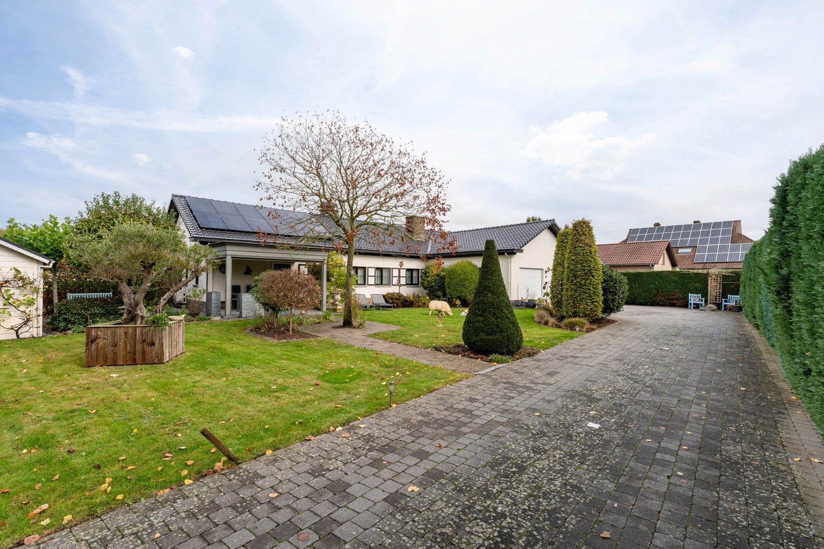 Ruim, goed afgewerkt gelijkvloers landhuis op een perceel van 13a20ca  nabij het centrum van Neeroeteren!  foto 30