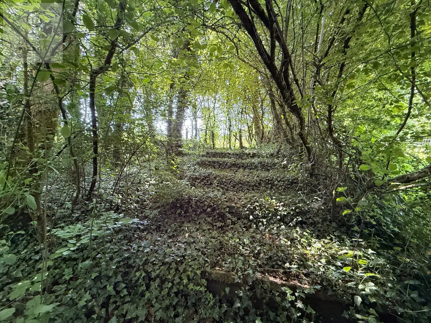 Chalet Double Exclusif foto 29