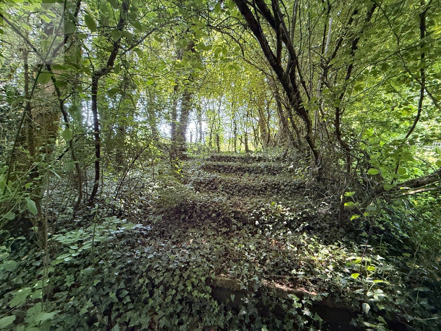 Chalet Double Exclusif foto 29