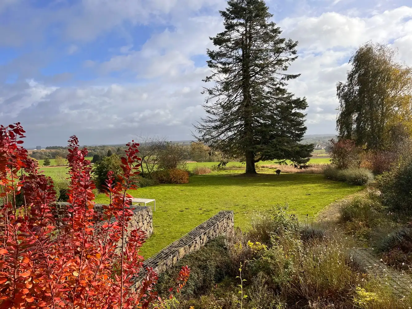 Huis te koop foto 10