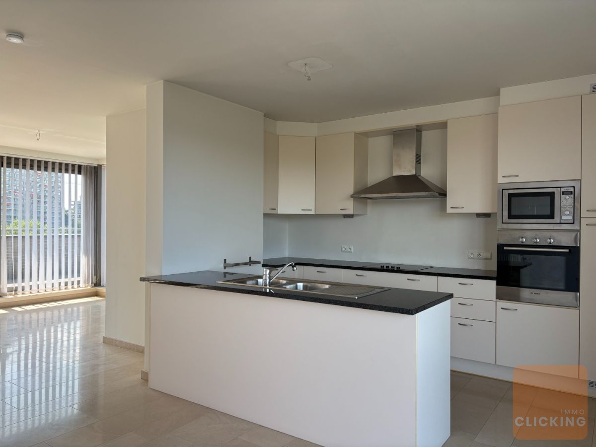Uitzonderlijke penthouse met 3 slaapkamers en fantastisch terras (200m2) foto 10