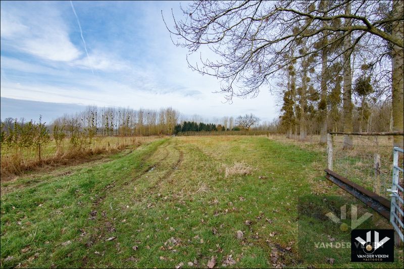 11,5 hectaren landbouwgrond foto 9
