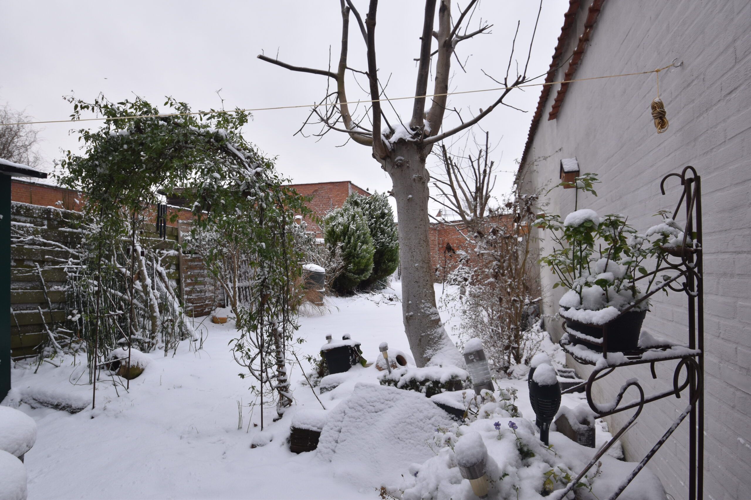 Aangename woning in de geliefde Elisabethwijk foto 4