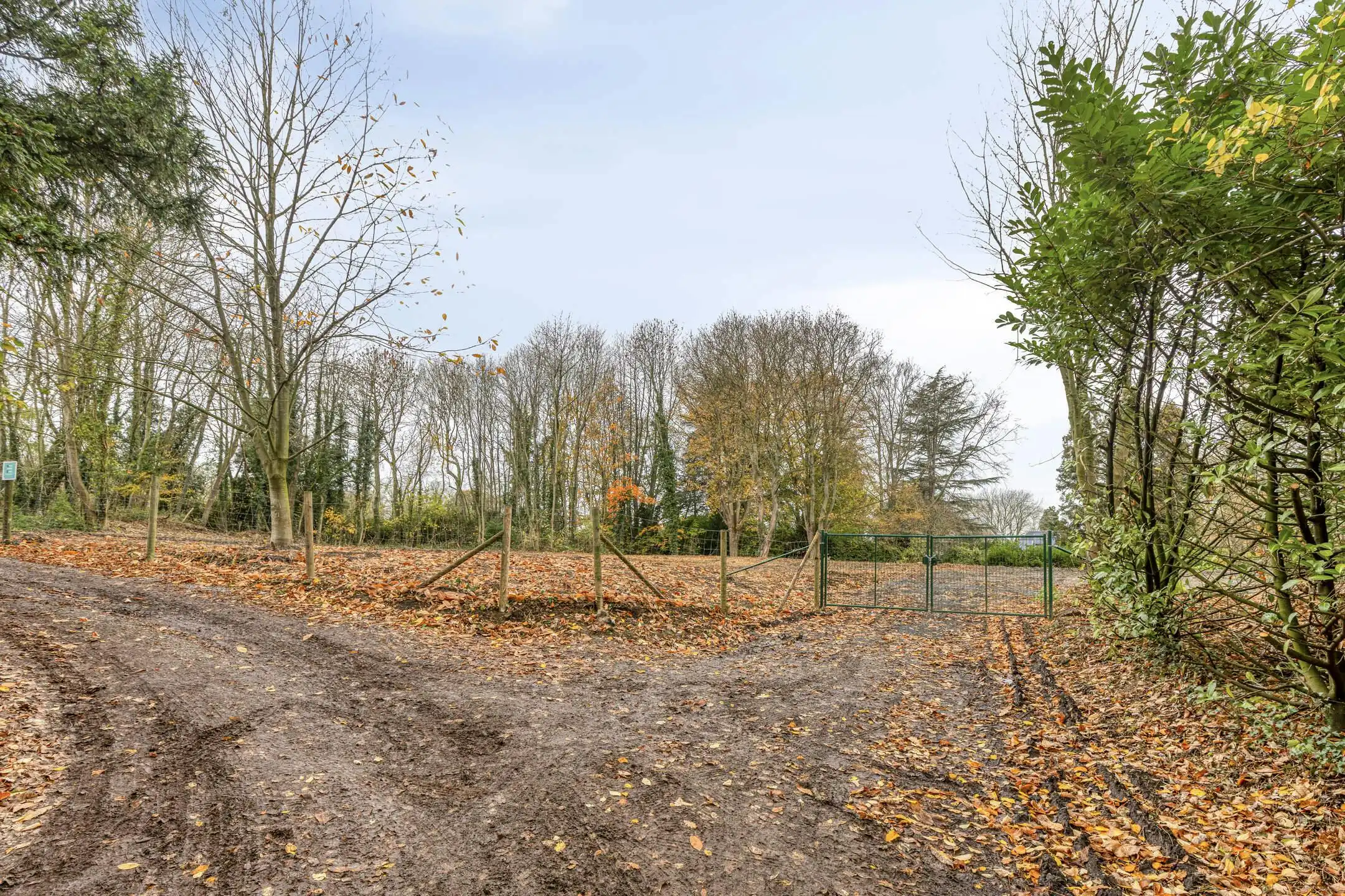 Unieke bouwgrond (5792m²) met fenomenaal zicht te Oudenaarde. foto 3