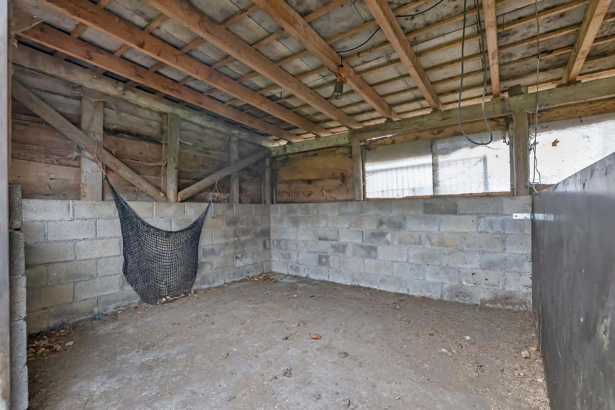 Weide met topligging op bijna 1,5ha foto 7