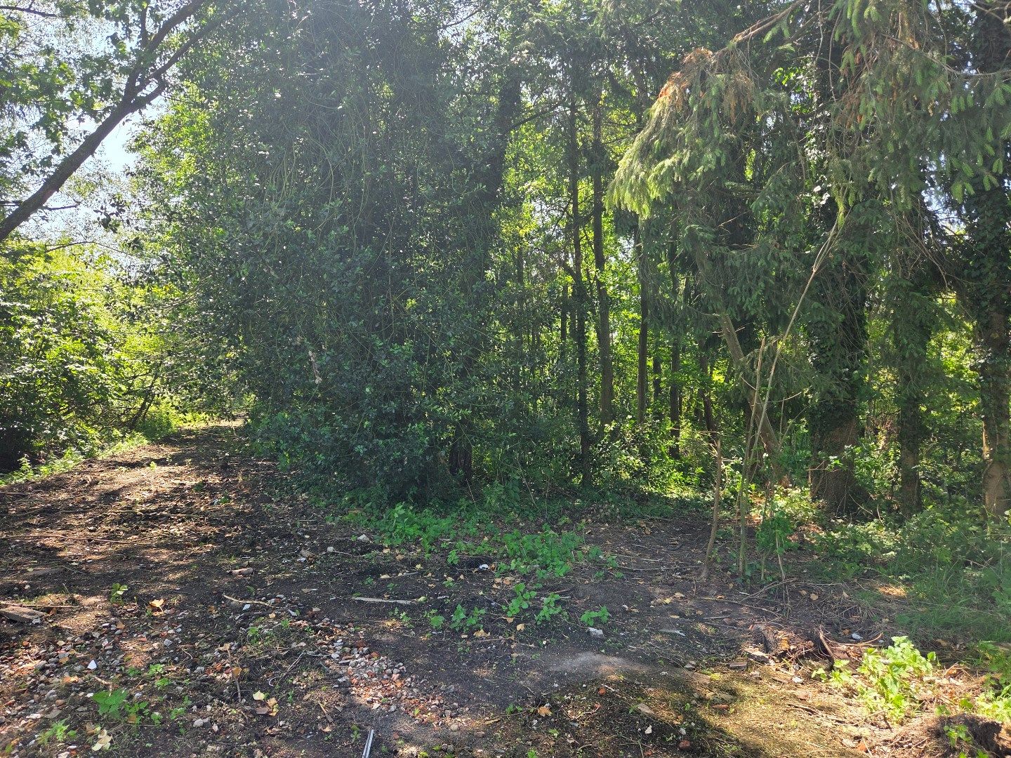Perceel hooiland van 2.532 m² langs de Ring in Mol ! foto 11
