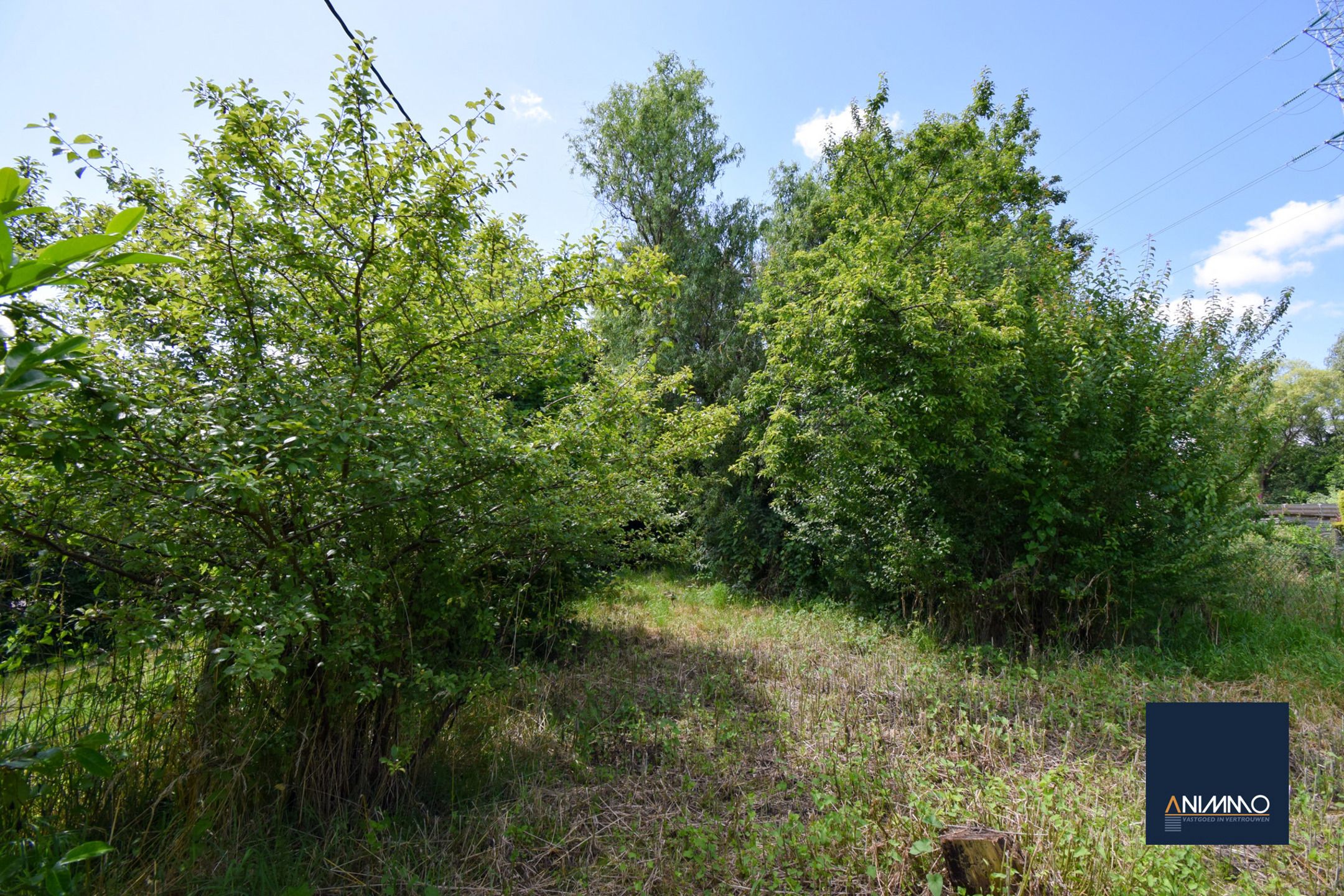 Huis te koop foto 20