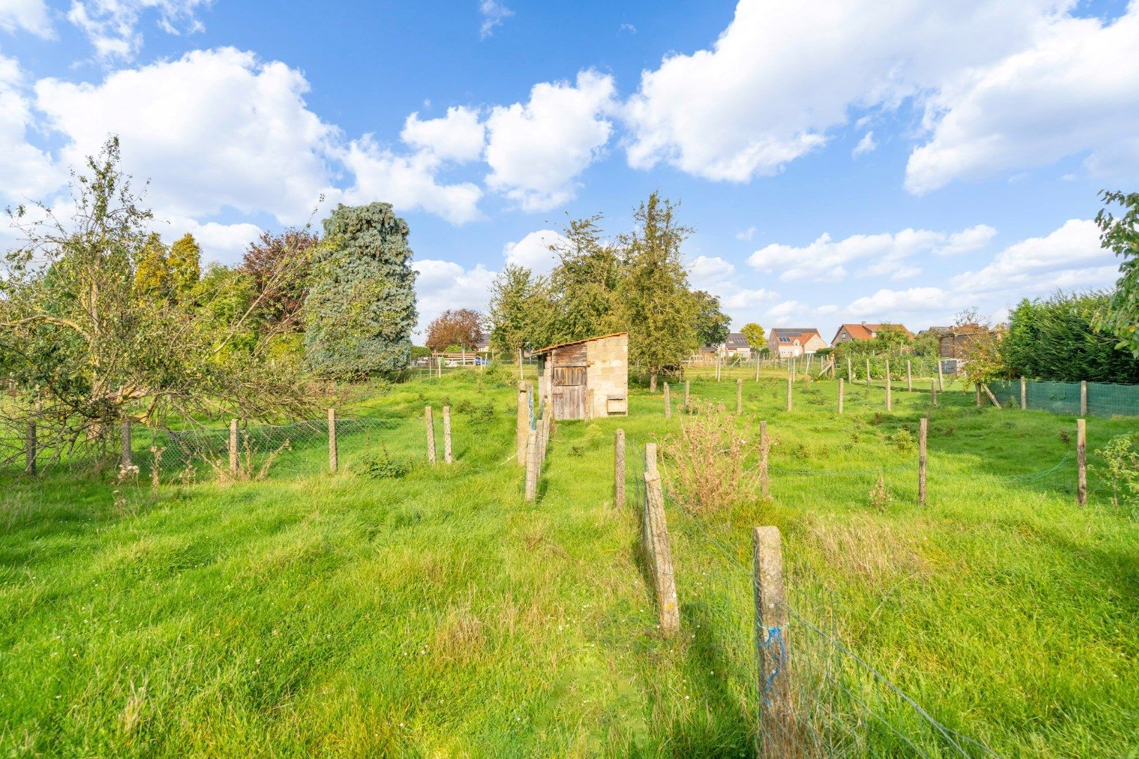 - IN OPTIE - Ruime degelijke rijwoning met doorrit naar de tuin met binnenkoer, op 12a10ca foto 44