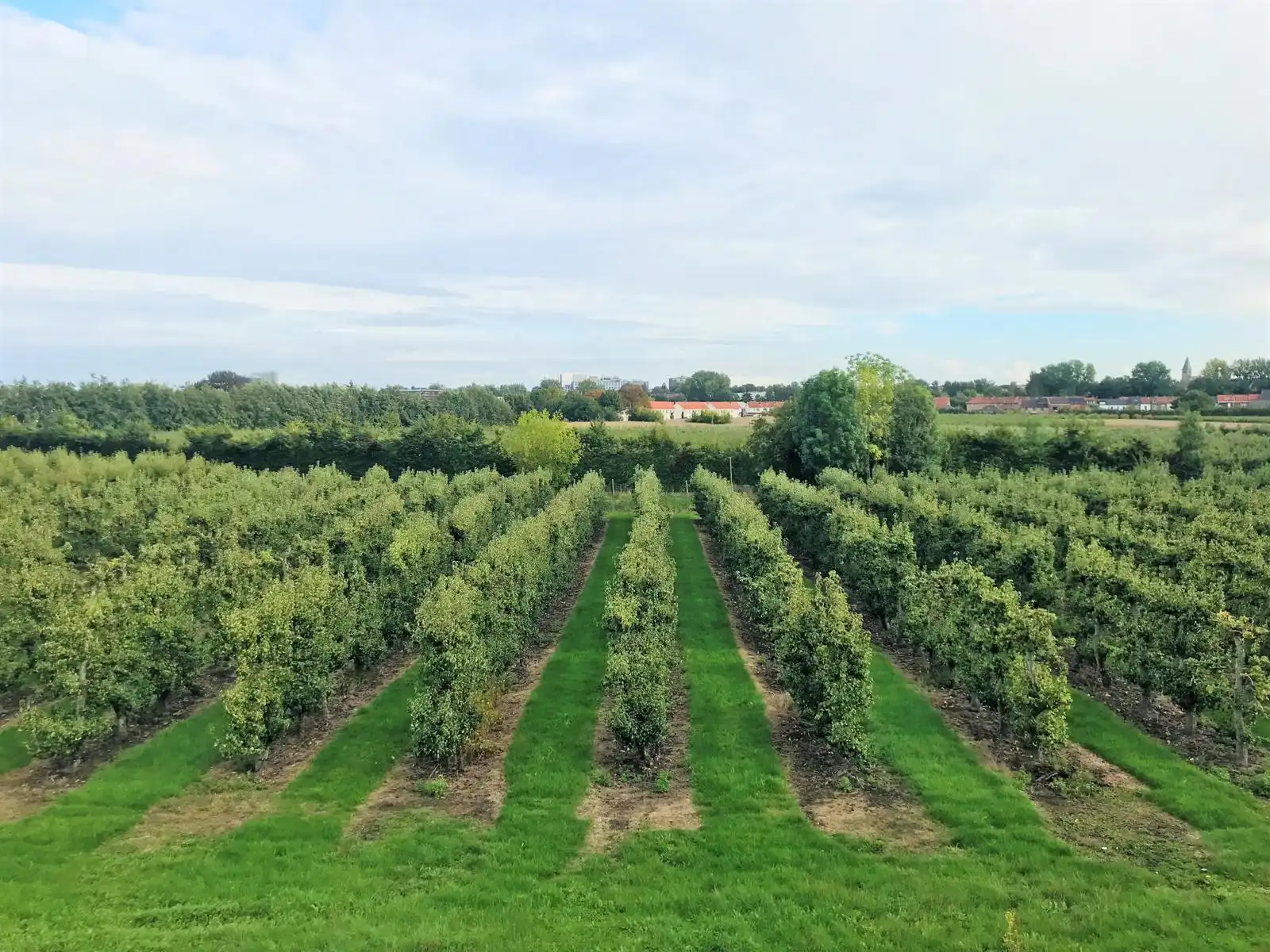 Mooi appartement nabij centrum Tienen met 2 slpks en garage. foto 16