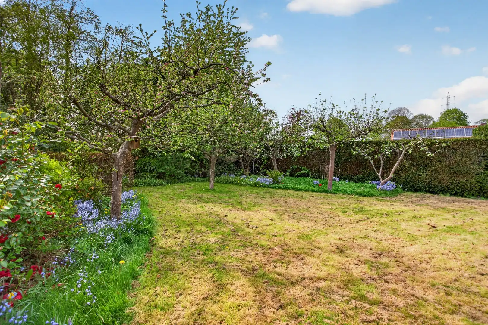 Ruime gelijkvloerse woning met veel potentieel op rustige ligging in Mol foto 45