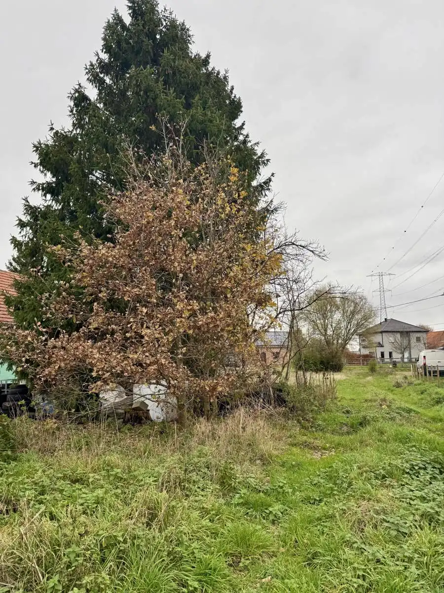 Bouwgrond voor open bebouwing met achterliggend weiland gelegen op uiterst rustige locatie te Olmen. foto 10