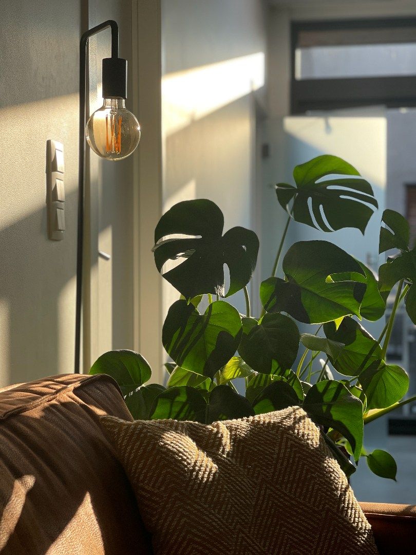 Woning te huur met 3 slpks en binnenkoer te Halle foto 4