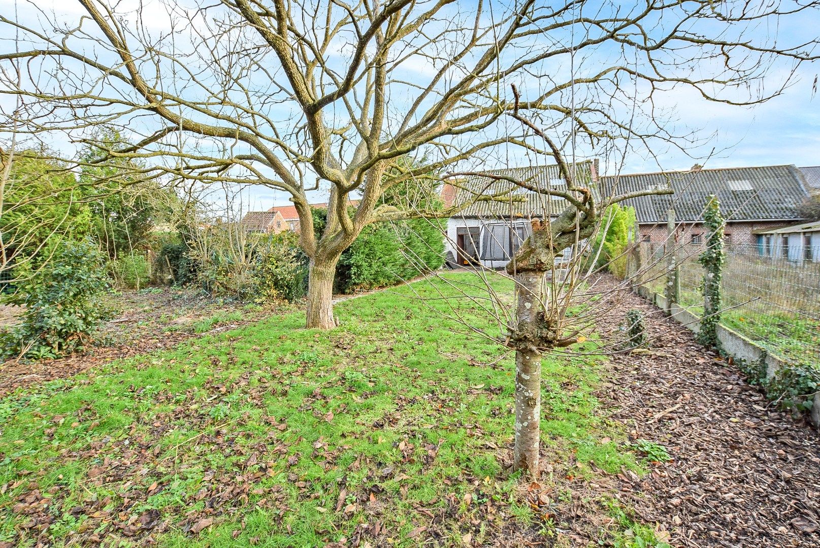 KIJKDAG ZATERDAG 03/01 VAN 10U TOT 12U! foto 23