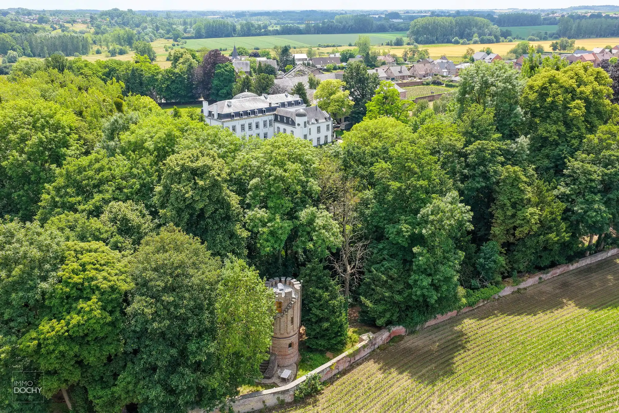 Prachtig gerestaureerd authentiek landhuis te Gors-Opleeuw (gelegen tussen Hasselt en Tongeren) foto 5