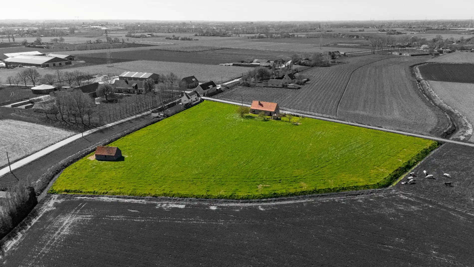 UNIEKE LANDELIJKE EIGENDOM MET WEILAND OP 1HA 35A 95CA foto 2