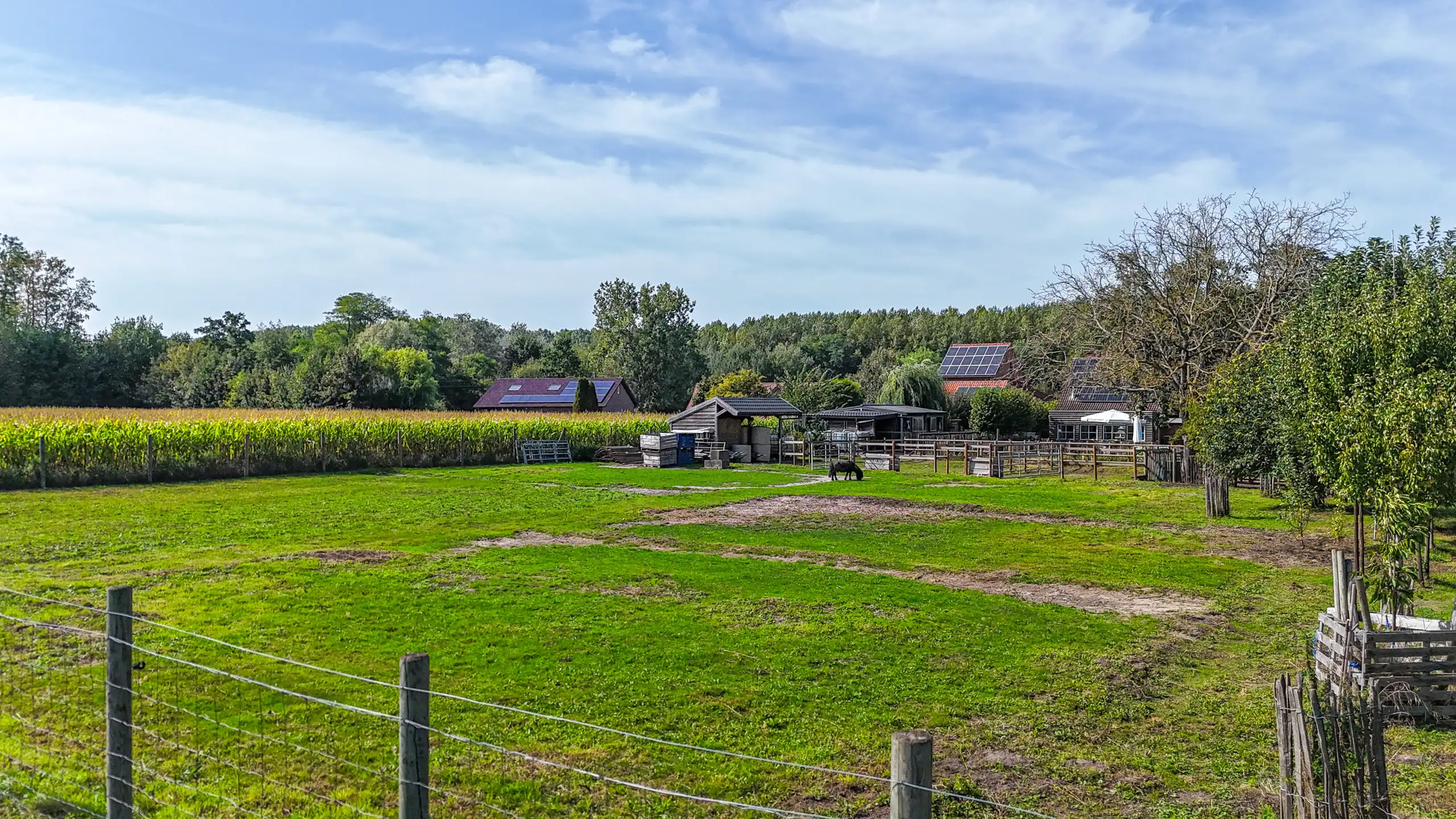 Landelijke woning met 6 slpks op perceel van 36a 70ca! foto 47