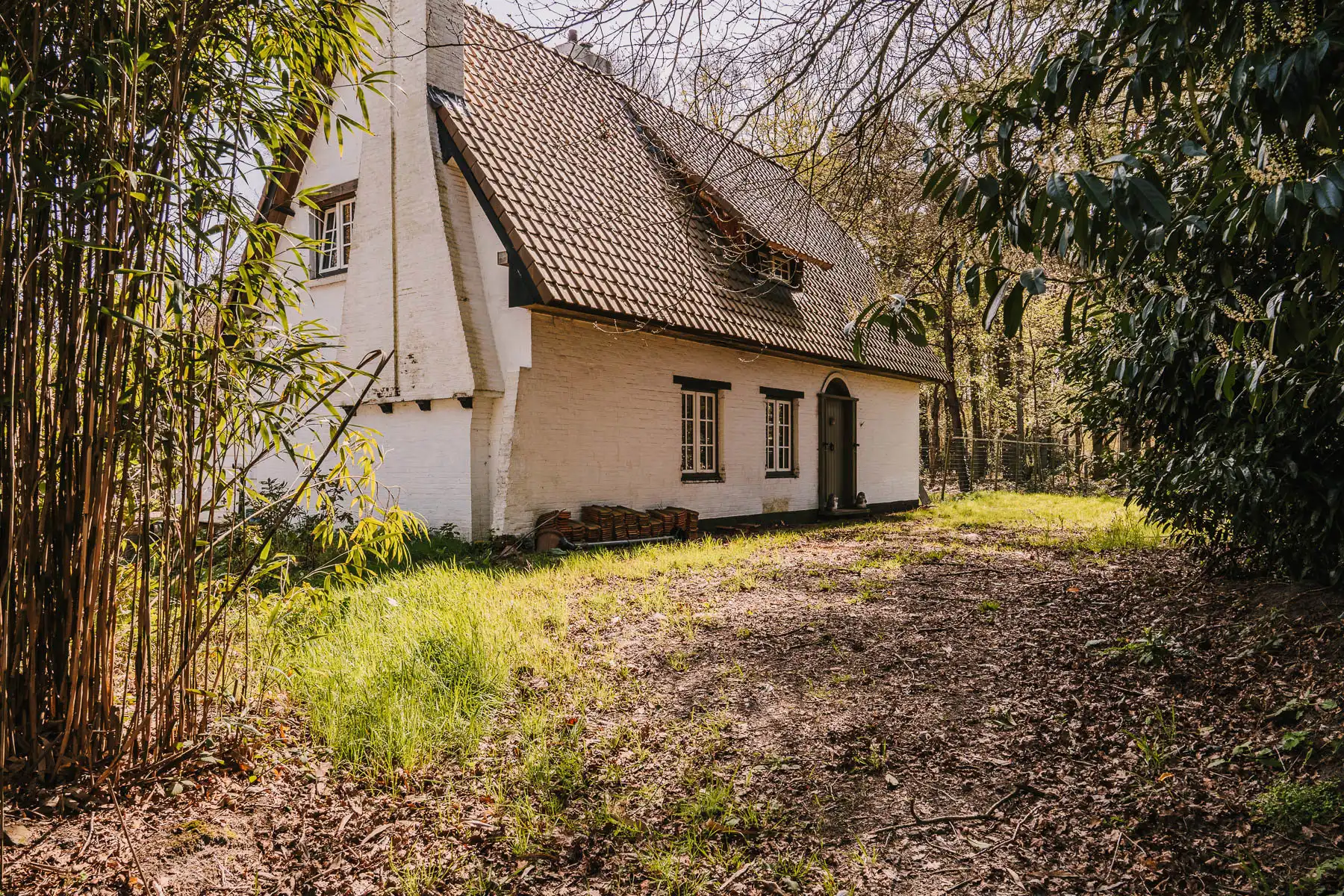 Landelijke woning op een uniek perceel van 20.000 m2 foto 5