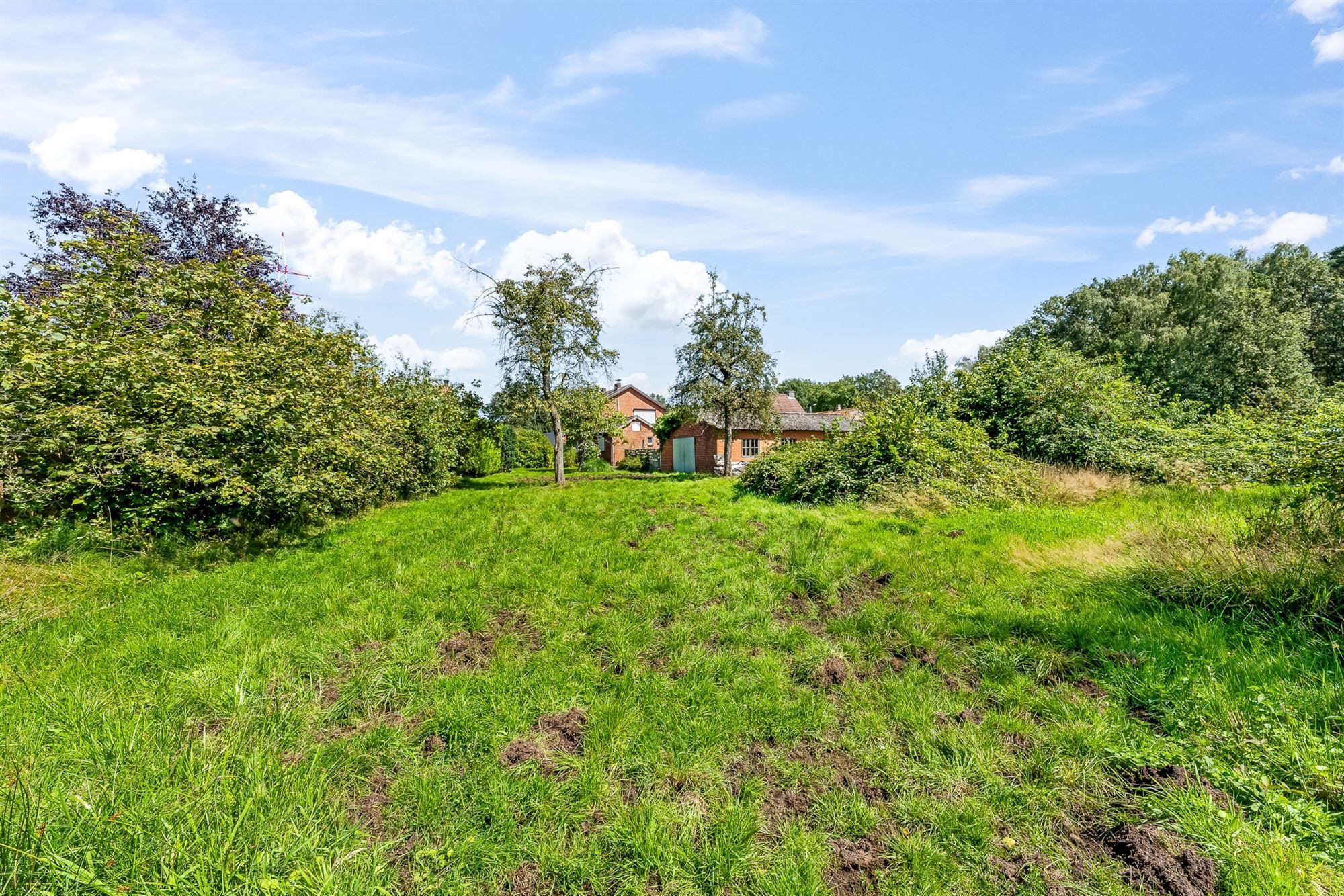 TE RENOVEREN WONING MET TAL VAN MOGELIJKHEDEN OP RUSTIG GELEGEN PERCEEL VAN 42 ARE TE ZOLDER foto 18