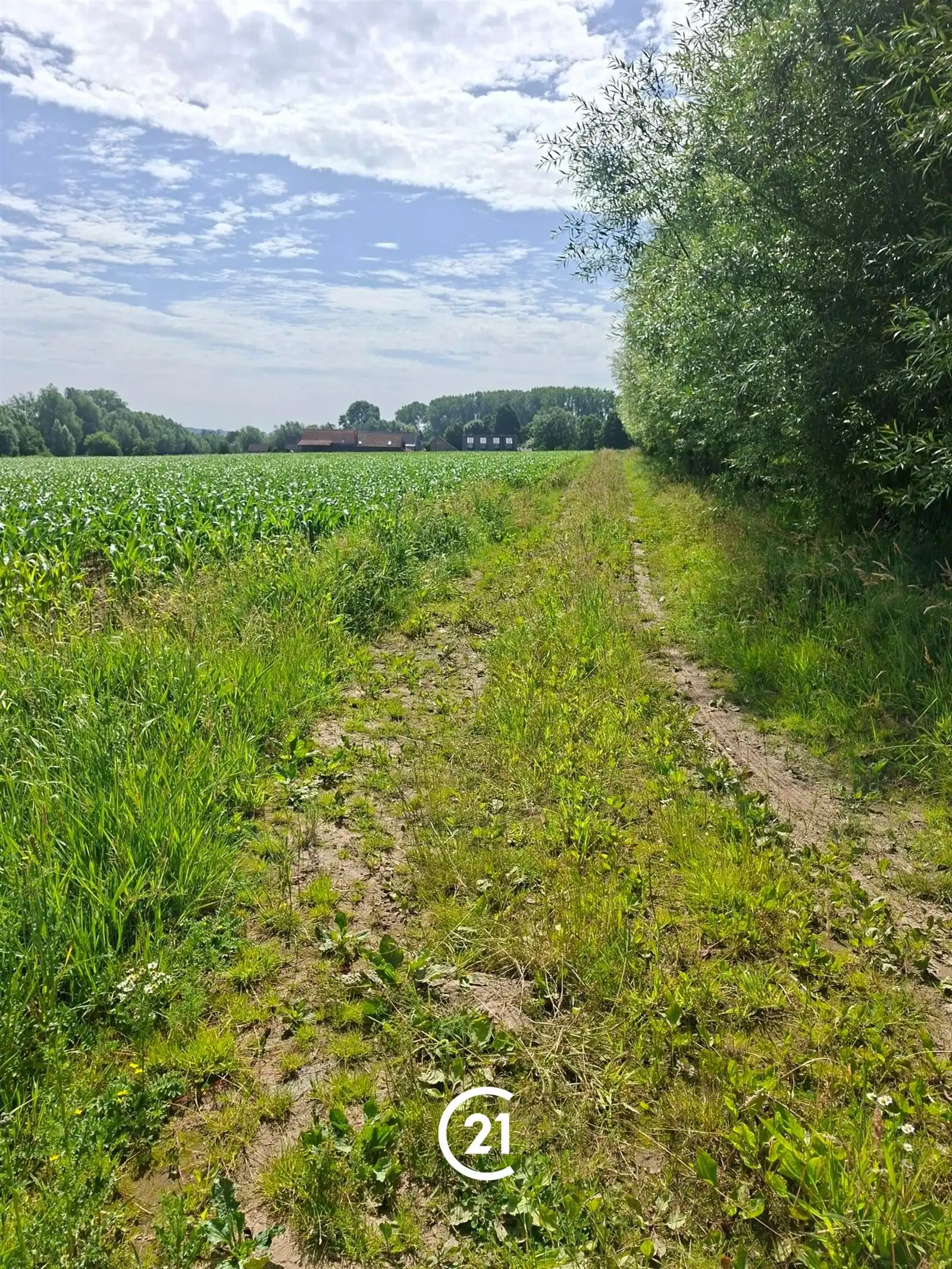 Prachtig perceel landbouwgrond 2hect67 bereikbaar via losweg foto 3