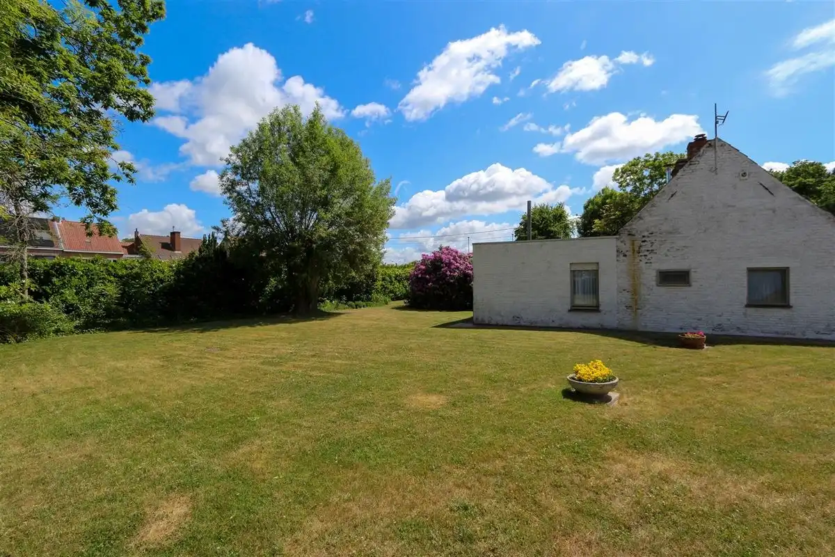 COMMERCIËLE TOPPER! foto 5