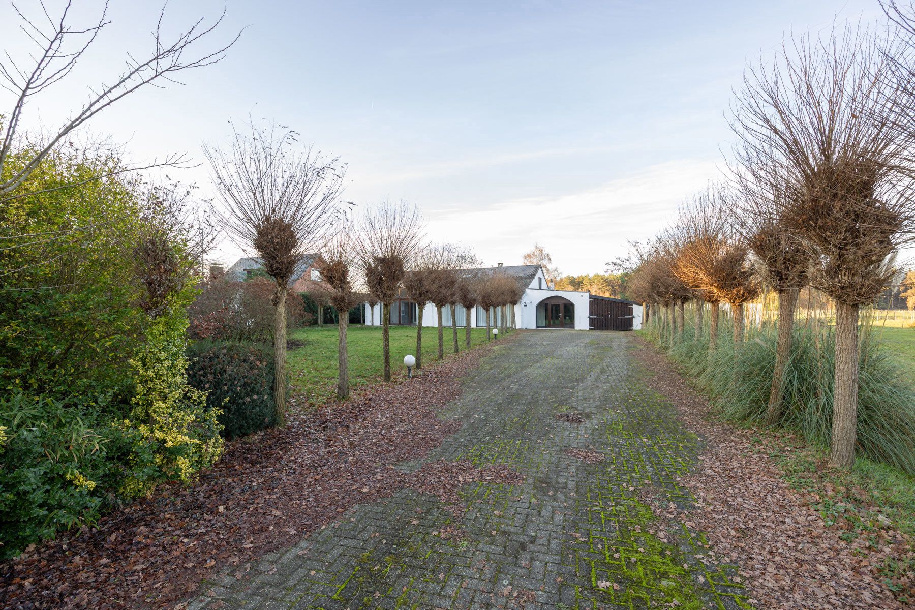 Huis te koop foto {{pictureIndex}}