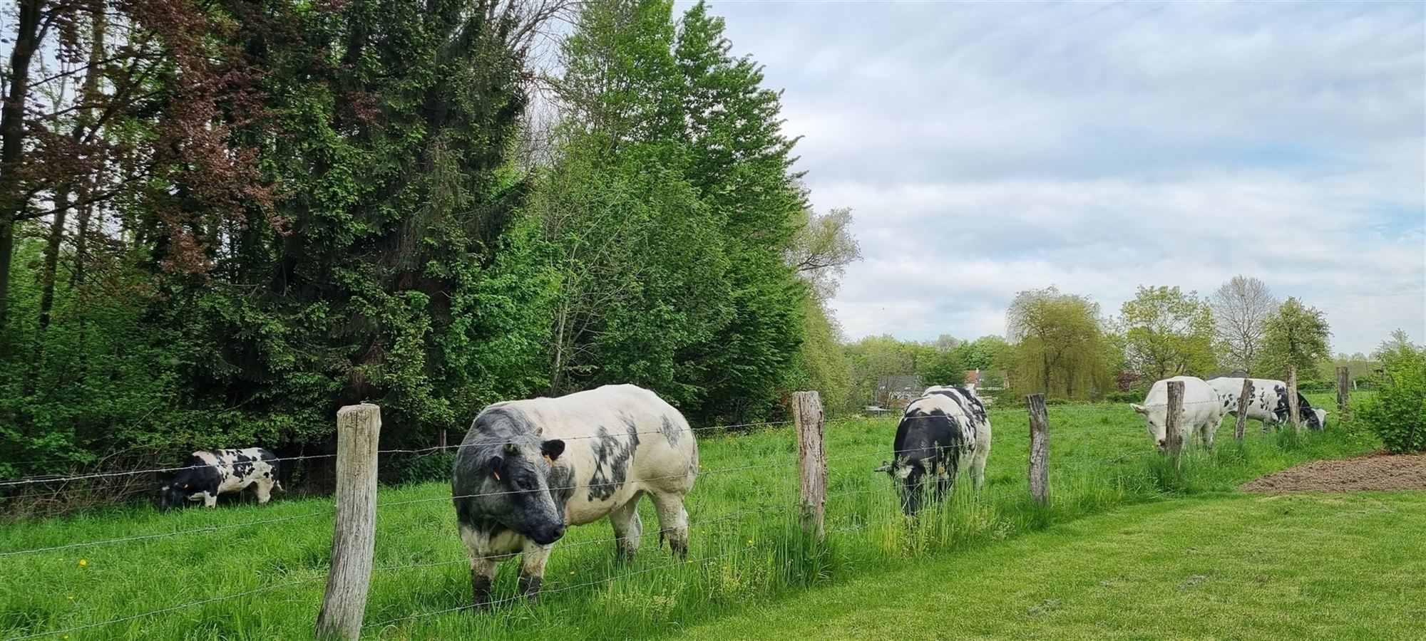 Aangename en recente woning (2022) met mooie tuin foto 35