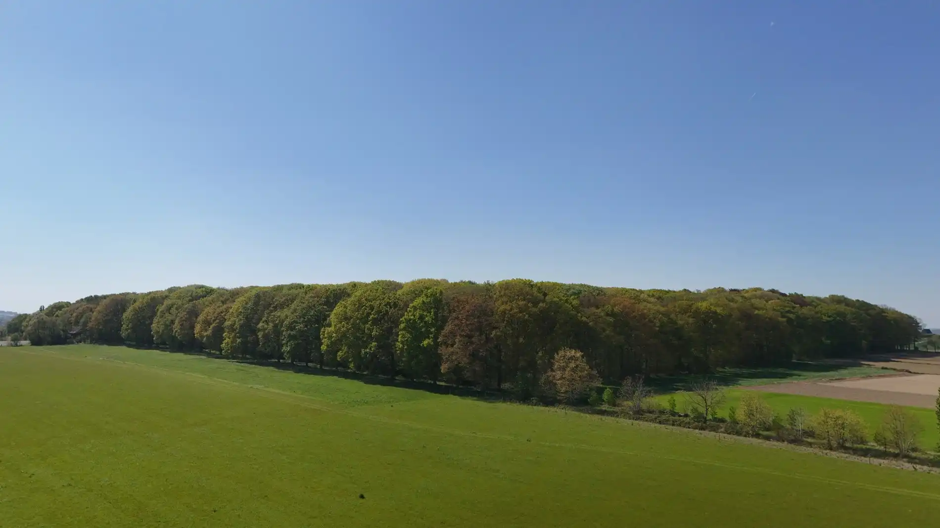 Een hectare groen, klaar voor jouw toekomst (zonevreemd!) foto 5