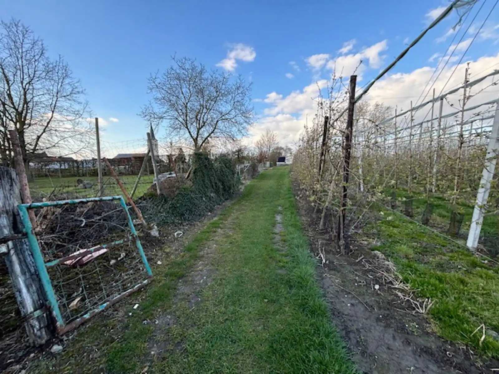 Rijwoning met zij- en achteringang te Gingelom foto 17