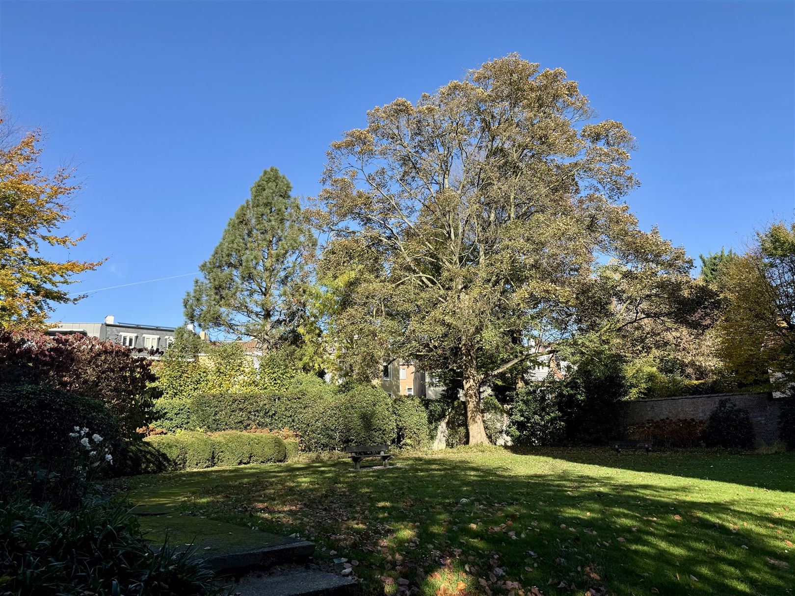 Appartement - 1 slpk- 6de verdieping - terras - kelder - garage optioneel foto 17