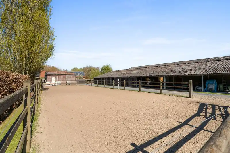 Moderne villa met hippisch complex op 15.856m²  foto 41